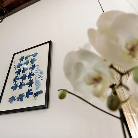 La Casa De Mosaicos