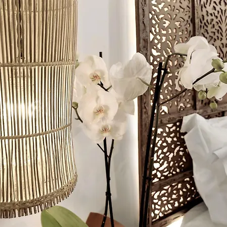 La Casa De Mosaicos Otel 3*